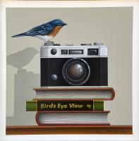 Bird's Eye View (Bluebird) by James Carter