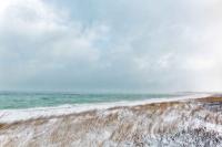 First Snow, Beach Road Oak Bluffs by Michael Stimola