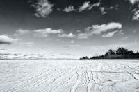 Across the Snowy Meadow by Michael Stimola