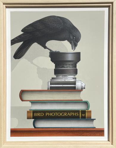 Bird Photographs (Raven) by James Carter