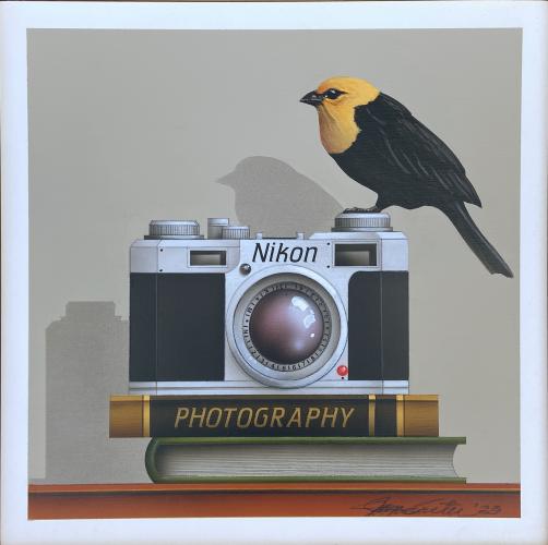 Photography ~ Yellow headed blackbird by James Carter