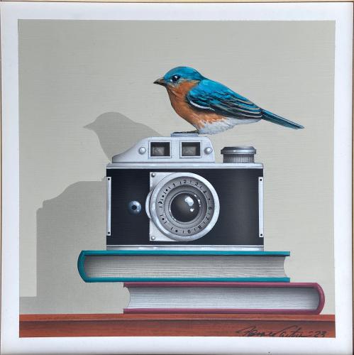 Nature Shots  (Bluebird) by James Carter