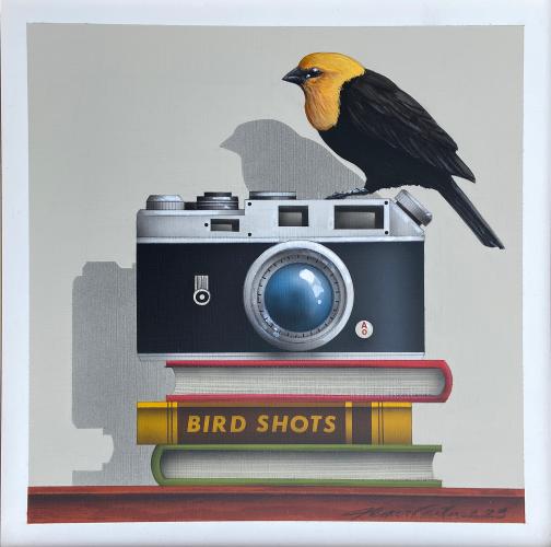 Bird Shots #2 (Yellow Headed Blackbird) by James Carter