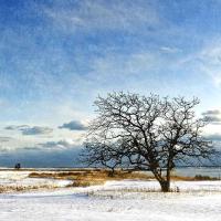Blue Winter Day by Michael Stimola