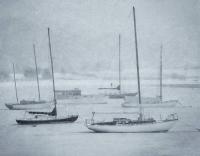 Iced In, Vineyard Haven by Michael Stimola