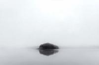 Morning Fog, Farm Pond, Oak Bluffs by Michael Stimola