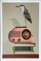 Radio Age (Heron) by James Carter
