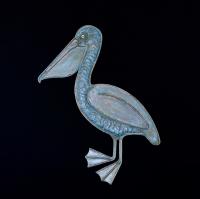 Pelican by Charles Gibbs