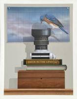 Birds in the Lens ~ Bluebird by James Carter