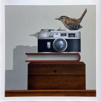 Bird Shots: House Wren by James Carter