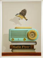 Radio Flyer: Pardalote by James Carter